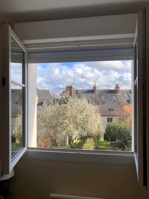 Appartement Plein Centre 勒芒 外观 照片